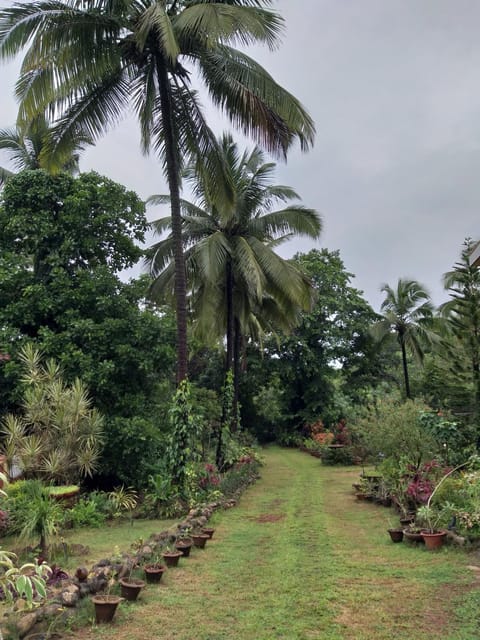 Natural landscape, Garden, Garden view