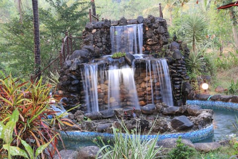 Natural landscape, Garden, Garden view