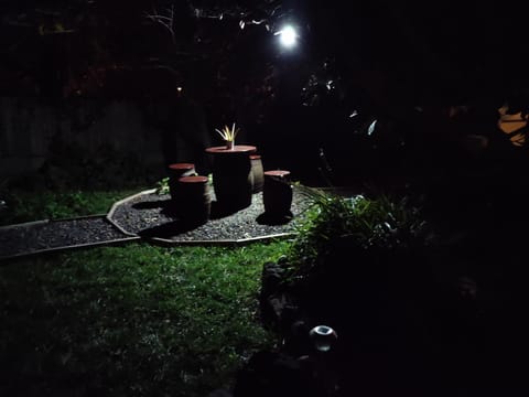 Night, Garden