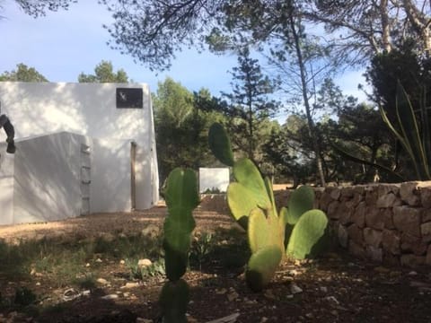 Feliz Lagartija Villa in Formentera