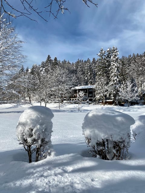 Facade/entrance, Winter, Balcony/Terrace