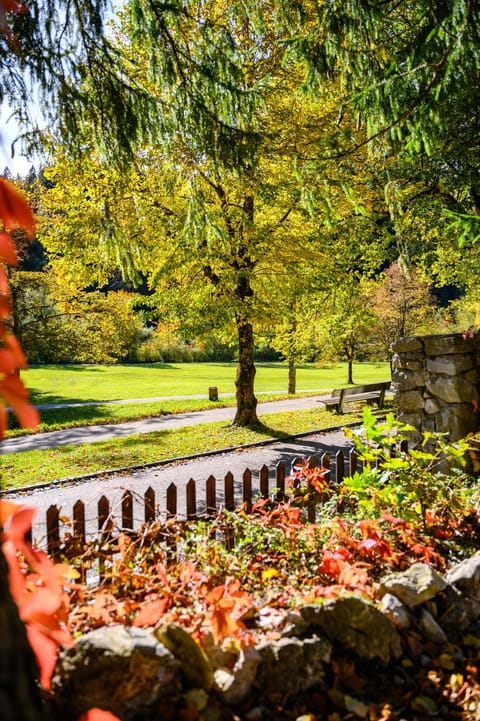 Day, Natural landscape, Garden, Garden view