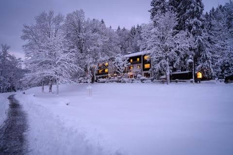 Property building, Winter