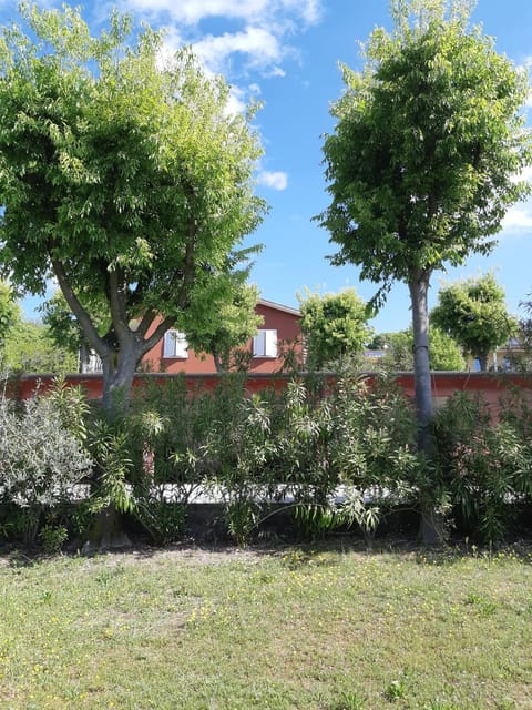 Natural landscape, Bird's eye view, Garden