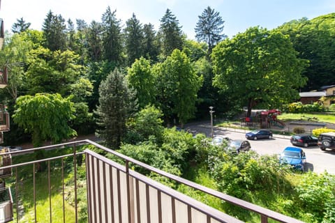 Natural landscape, Garden, Living room, Garden view
