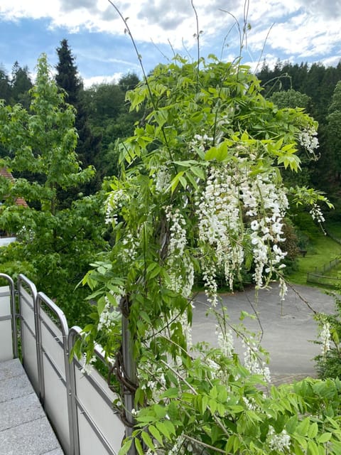 Ferienhof Kröger Übernachtung mit Frühstück in Bielefeld