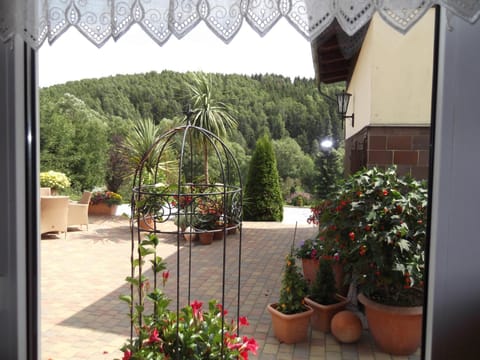 Pension Waldhof Bed and Breakfast in Saxony-Anhalt, Germany