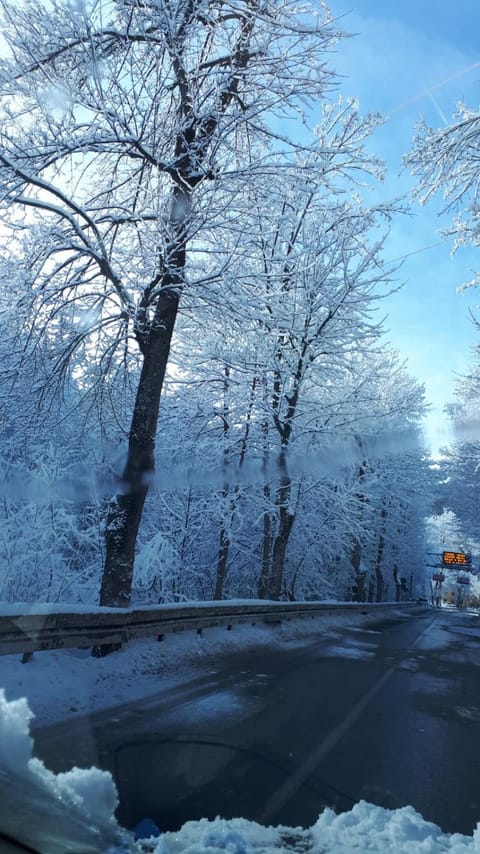 Natural landscape, Winter, Hiking, On site