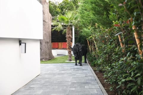 BS Milla Estate Heidelberg Villa in Heidelberg