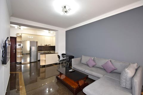 Buzand street 1 bedroom Newly Renovated apartment near Republic Square BU777 Apartment in Yerevan