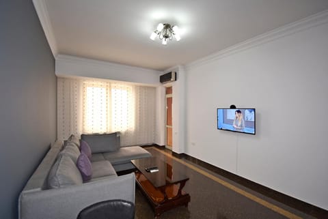 Buzand street 1 bedroom Newly Renovated apartment near Republic Square BU777 Apartment in Yerevan