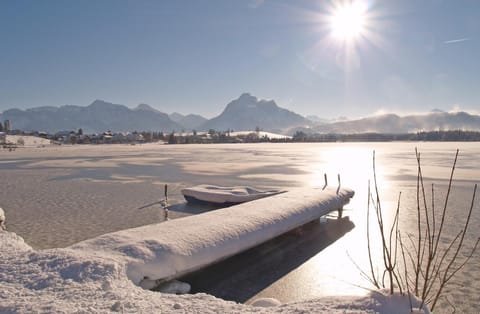 Staff, Activities, Winter