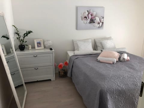 Lake view Helmi Apartment in Finland