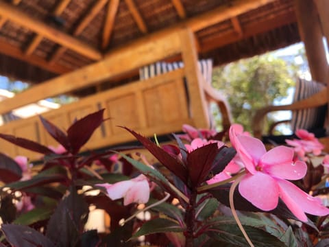 CASA CANTO DO JAÓ House in State of Goiás