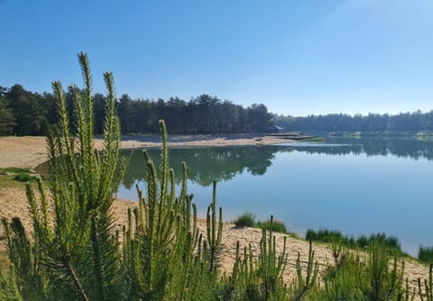 Lodge Koolmees Nunspeet Veluwe Chalet in Biddinghuizen