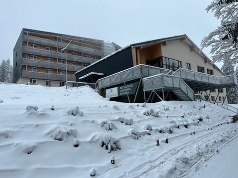 Property building, Winter