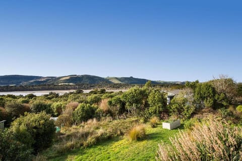 Surfinn Eco Cottage - Papatowai Cottage House in Otago