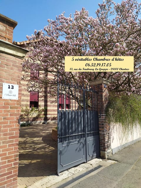 Property building, Facade/entrance, Garden, Garden