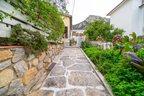 Property building, Day, Garden