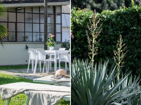 Patio, Garden, Garden view