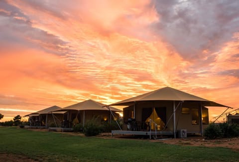 Property building, Natural landscape, Sunset