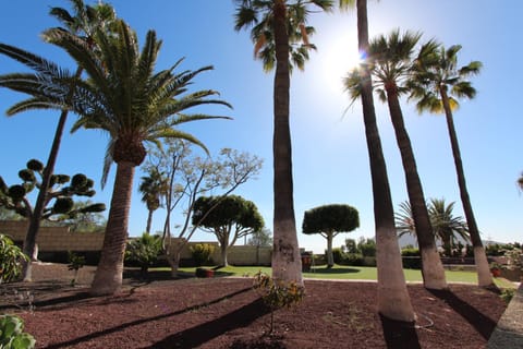 Property building, Garden