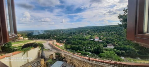 Day, Neighbourhood, Natural landscape