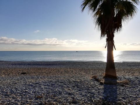 Beach, Sunset