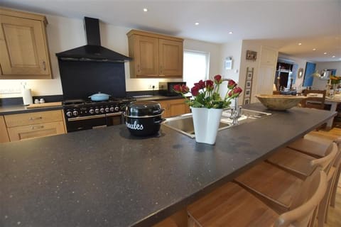 Gwelfor, Newport House in Wales