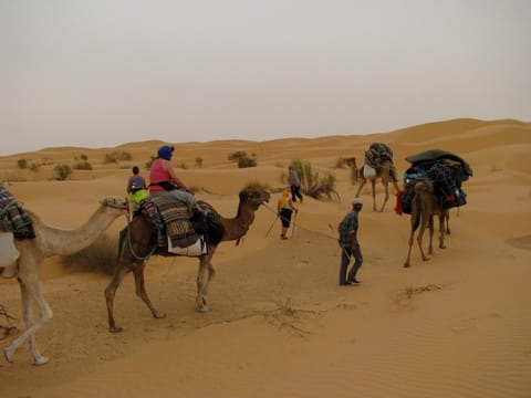 Grand Sud, la maison de sable Bed and Breakfast in Tunisia