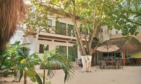 Patio, Garden, Garden view, Inner courtyard view