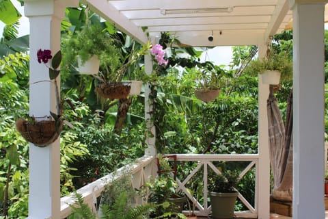 Tropical Garden Cottage Antigua Eigentumswohnung in Antigua and Barbuda