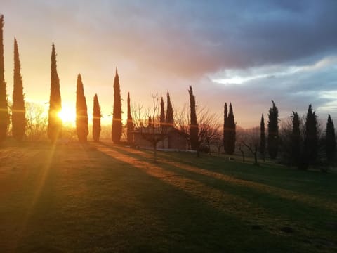 Agriturismo Podere Bianca Maria Farm Stay in Lazio