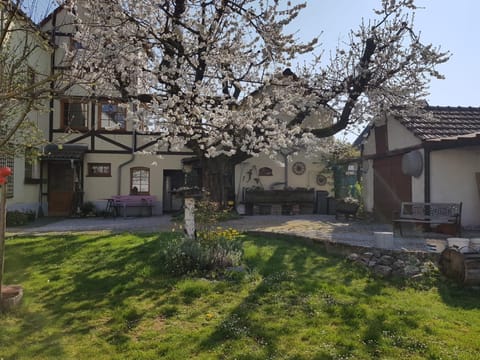 Property building, Garden