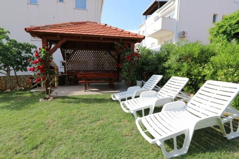 Patio, Garden, Garden view