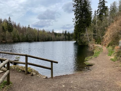 Natural landscape, Hiking, Lake view