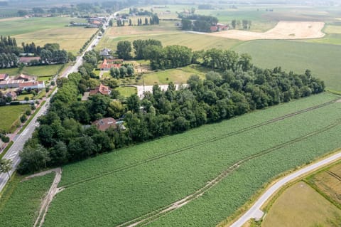 De Rietreiger Bed and Breakfast in Bruges