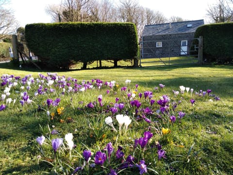 Ty r Pwmp House in Saint Davids