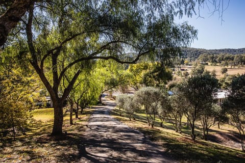 Capers Cottage and Barn Accommodation Chambre d’hôte in Wollombi