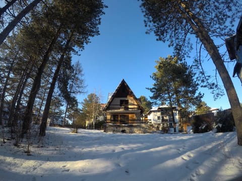 Vila Persida House in Zlatibor