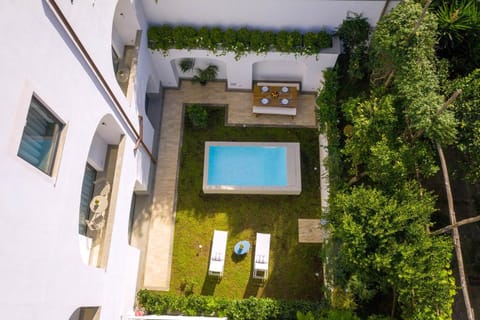 Bird's eye view, Garden, Swimming pool