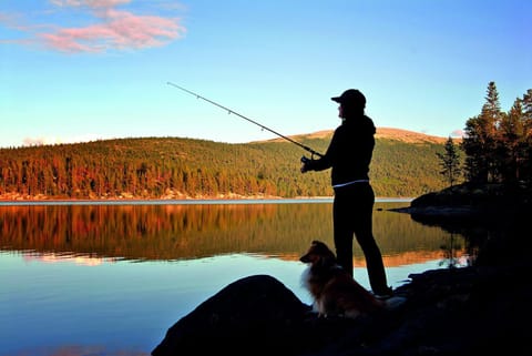 Fishing