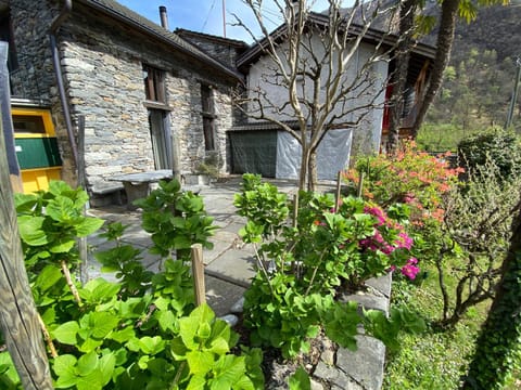 Property building, Garden