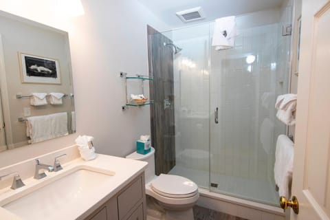 Modern & Updated Winterplace 3Br- Sleeps 12 condo Apartment in Vermont