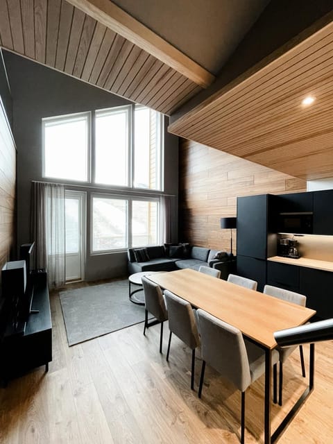 Levin Kunkku B penthouse Apartment hotel in Lapland