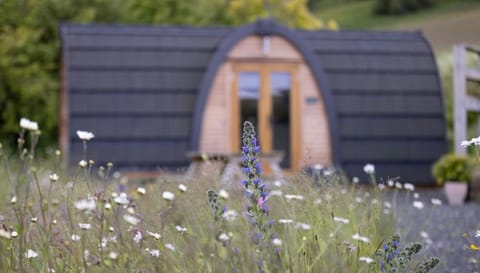 Isla Pod, Kilry eco pods Apartment in Scotland