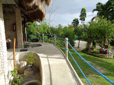 Sea Turtle House Moalboal Bed and Breakfast in Central Visayas