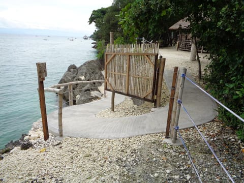 Sea Turtle House Moalboal Bed and Breakfast in Central Visayas