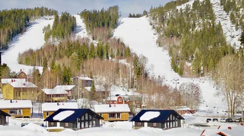 Jarvso House. Ski In / Ski Out. Chalet in Sweden