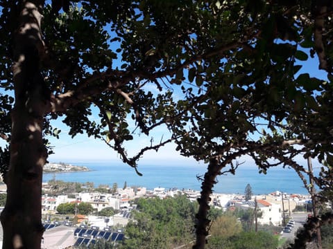 Natural landscape, Sea view